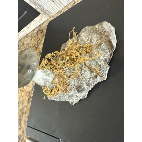 Petoskey Stone Polished Mushroom On A Base Handmade - Picture 4 of 7